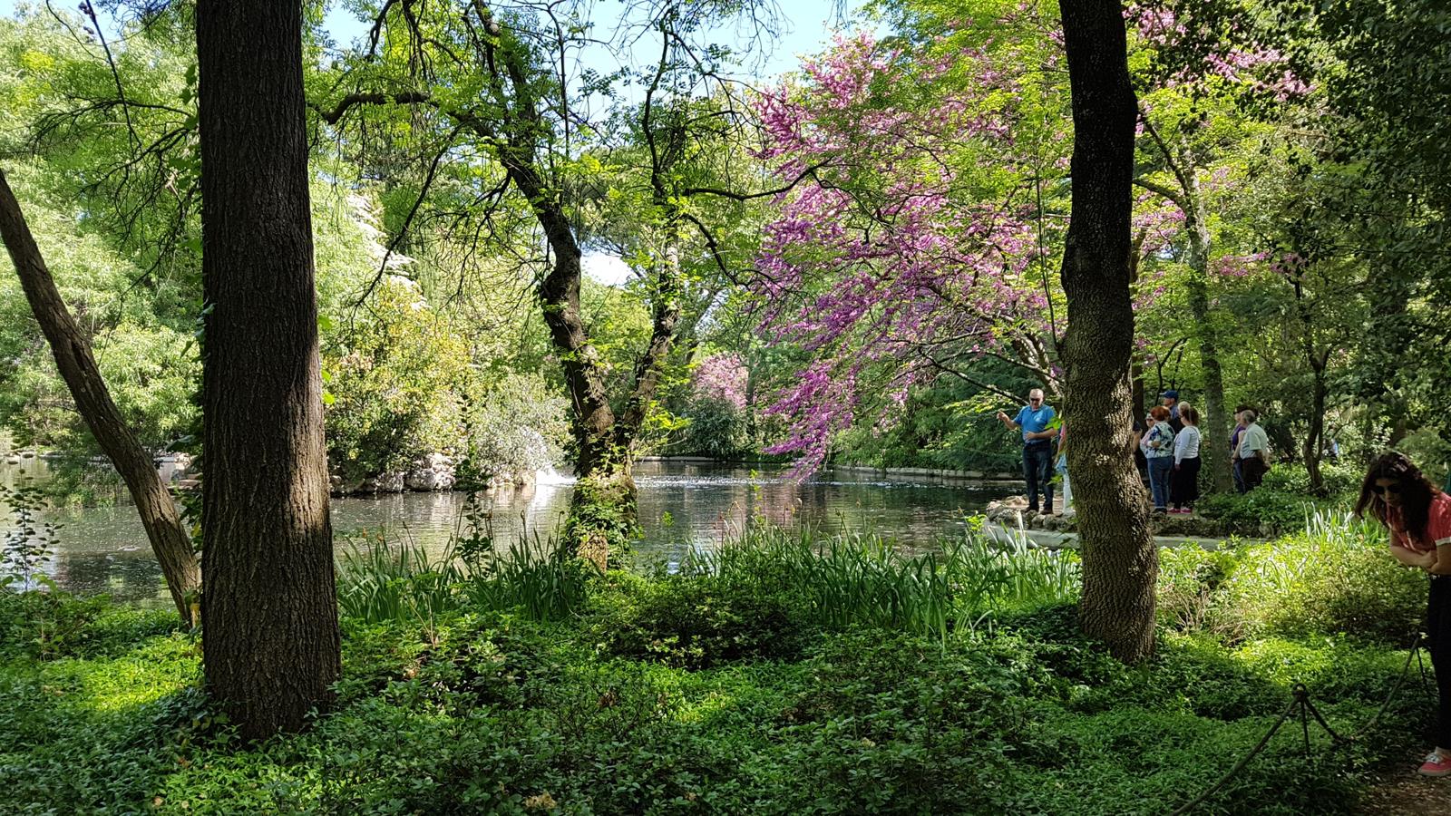 Aire libre